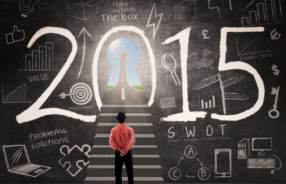 Comment se faire un plan de l'année 2015